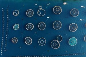 Round pools of a fish farm in the sea, fenced with buoys. Top view photo