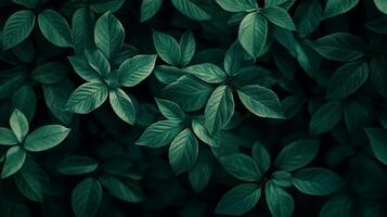 Lush green leaves form a tranquil canopy, their textured surfaces and deep shades creating a serene natural scene. Detailed foliage. photo