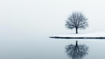 Solitary tree reflecting in water, winter scene with snow-covered ground and serene landscape. Minimalist composition with calm waters. photo