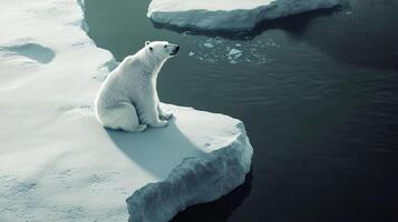 Solitary polar bear sits on a patch of ice, gazing out at the frigid Arctic waters. Reflections dance on the surface adding visual depth. photo