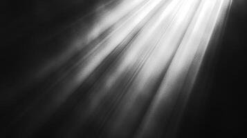 Dramatic light streams down, illuminating the darkness, creating a sense of mystery and ethereal beauty in stark black and white. photo