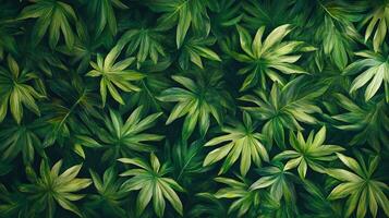 Lush green leaves create a calming canopy, inviting serenity. The intricate details capture nature's vibrant beauty and growth. photo
