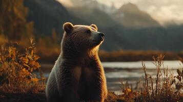 A majestic bear basking in the sunlight near a tranquil lake with mountains in the backdrop. The serene moment in nature. photo