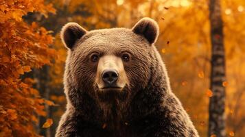 Portrait of a majestic bear in a vibrant autumn setting, its fur blending with the golden leaves. A serene and powerful animal presence. photo