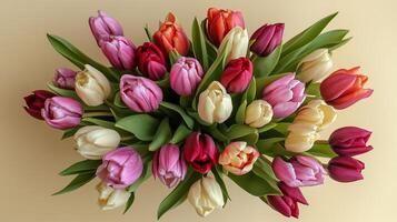 A vibrant assortment of tulips in shades of pink, red, white, and orange, creating a stunning floral display. photo