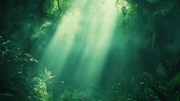 Sunlight filters through the dense foliage, creating ethereal beams in the forest. A serene and mysterious landscape unfolds. photo