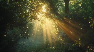 Sunlight filters through a dense forest canopy, creating a magical ambiance. A peaceful and serene natural environment. photo