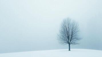 Minimalist winter landscape featuring a solitary bare tree in a snow covered field, enveloped by a thick fog, creating a serene and melancholic atmosphere photo