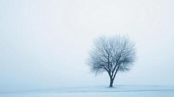 Minimalist landscape showing a bare tree standing alone in a snowy field on a foggy winter day, conveying a sense of peace and solitude photo