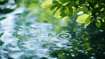 Raindrops on the water create ripples. Tree leaves reflecting on the water. Abstract nature scene of tranquility and beauty. photo