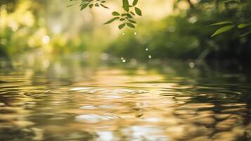 Gentle ripples on water surface, reflecting light. Calm and nature-filled background. Water droplets falling from leaves creating ripples. photo