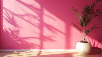A vibrant pink wall provides the backdrop for a potted plant, with window light creating captivating shadows on the wall and the floor. photo