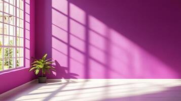 A purple room bathed in sunbeams. Window light casts shadow patterns on wall. Green plant on floor adds pop of nature to interior. photo