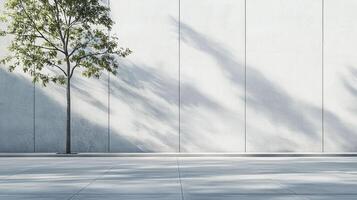 Tree casts shadows on modern concrete wall and floor, creating a calming architectural scene with natural light and texture. photo