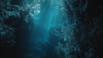 Mystical underwater forest with beams of light filtering through the dark waters, creating an ethereal and enchanting atmosphere. photo