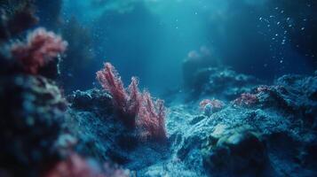 Underwater scene showcasing colorful coral reefs thriving amidst rocks, illuminated by sunlight filtering through the ocean's surface. photo