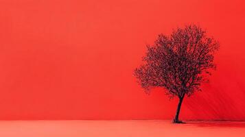 A stark image of a lone tree silhouetted against a vibrant red background, conveying powerful emotions and artistic expression through its striking color contrast. photo