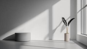 A modern indoor space showcasing minimalist decor highlighted by shadows, fostering a calm atmosphere for relaxation and creative thinking. Ideal for design enthusiasts. photo