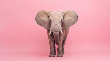 Elephant portrait against pink background. Captivating animal photography highlighting the majestic creature in vibrant, unexpected setting. photo