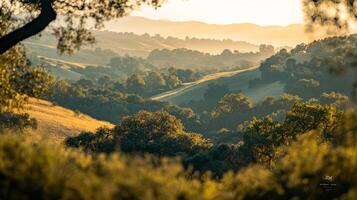Idyllic rolling hills and lush trees create a peaceful landscape, with a warm, golden light creating a serene atmosphere. photo