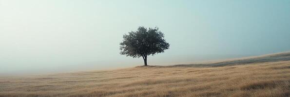 Lone tree on a hill shrouded in morning mist. A serene landscape of golden fields and muted skies. Nature's quiet solitude. photo