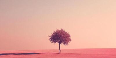A serene tree stands alone in a field bathed in soft, dreamy pink light, creating a peaceful and ethereal atmosphere. photo