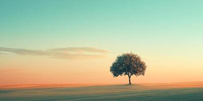 Solitary tree stands in peaceful meadow under a serene sky. The tranquil scene evokes calm and beauty in this tranquil nature capture. photo