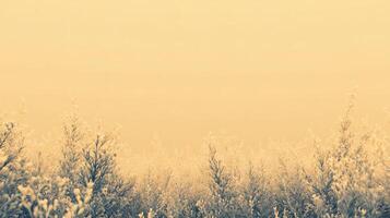 Softly illuminated foliage captures a tranquil scene with understated beauty, perfect for serene wallpapers and nature-themed backgrounds. photo
