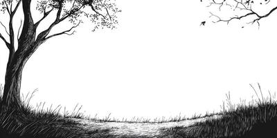 Monochrome landscape with a winding path through tall grass, shadowed by trees with delicate foliage, evoking a serene atmosphere. photo