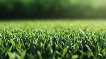 Lush green grass blowing gently in the wind with an out-of-focus background. A peaceful scene, perfect for springtime imagery. photo