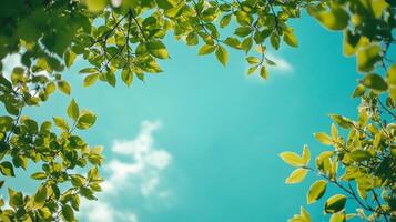 Green leaves frame a bright blue sky with soft white clouds, creating a peaceful nature scene. Inviting and serene outdoor view. photo