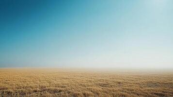 Vast field stretches under a clear sky, a serene rural landscape evoking peace and tranquility in the simplicity of nature. photo