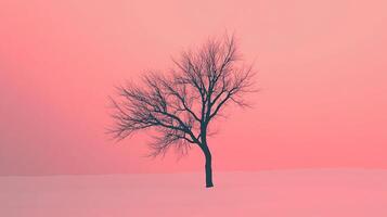 A lone tree stands starkly against a vibrant pink sky, its bare branches creating a delicate silhouette in this minimalist landscape. photo