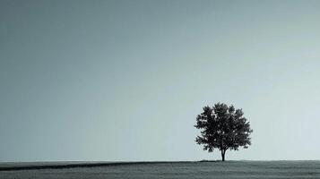 Solitary tree standing tall in a vast field against a clear sky, embodying strength and serenity in its minimalist natural setting. photo