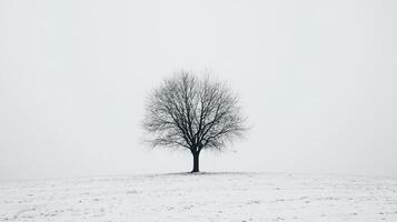 Solitary winter tree silhouette standing in a snow covered field. The stark landscape evokes a sense of quiet solitude and the cold winter. photo