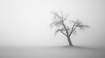 Solitary bare tree stands in stark contrast against a dense fog, creating a monochromatic, minimalist, and haunting scene. photo