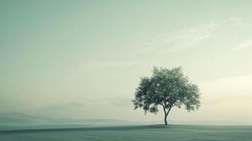 Solitary tree against a soft, diffused sky, evoking serenity and reflection, standing alone in a tranquil landscape. photo