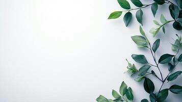 Green leaf sprigs frame this light background creating a peaceful nature aesthetic. Serene minimalism with a botanical touch. photo