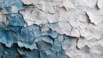 Distressed wall texture showing layered paint in shades of white and blue with a weathered and aged appearance and cracked surface detail. photo