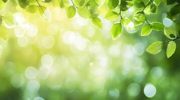 Lush green leaves filter sunlight, creating a serene and inviting atmosphere. The soft bokeh adds a touch of magic and tranquility. photo