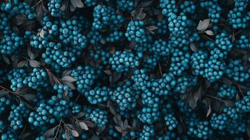 Clusters of deep blue berries amidst dark foliage create a visually striking and textured natural pattern, suggestive of autumn's bounty. photo
