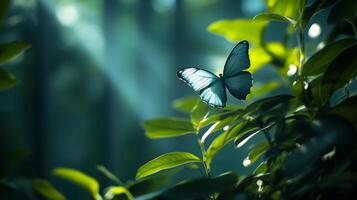 A mesmerizing blue butterfly with intricately patterned wings rests gracefully on lush green foliage in the heart of a tranquil forest setting. photo