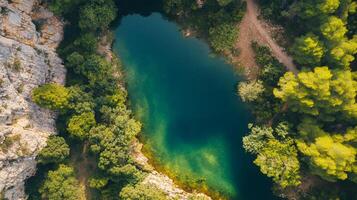 Aerial view of a pristine lake surrounded by lush greenery and rocky formations, creating a serene and picturesque landscape. photo