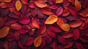 Autumnal tapestry of red and yellow leaves creating a warm and inviting composition. photo