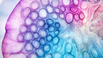Colorful abstract art piece displaying rounded shapes in blue, purple and pink hues with intricate textures and patterns. Abstract design. photo