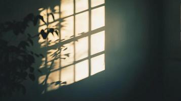 Sunlight streams through a gridded window, casting playful shadows of leaves onto the wall, creating a tranquil indoor ambiance. photo
