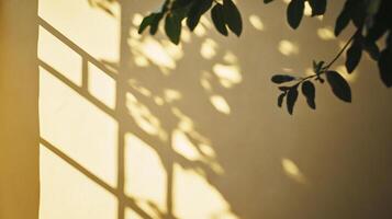 Sunlight and shadows create geometric patterns on a wall, with a leafy branch adding organic contrast to the linear design. photo