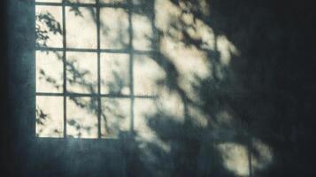 Light and shadow play on a textured wall, cast by a window reflecting trees outside, creating a serene, quiet interior scene. photo