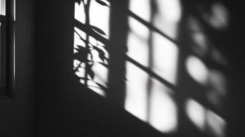 Abstract light and shadow interplay creates a serene monochrome scene, highlighting nature's beauty indoors, casting intriguing patterns. photo