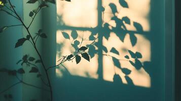Sunlight filters through window, casting leaf shadows onto a wall, creating calming light patterns. The essence of indoor nature is revealed. photo